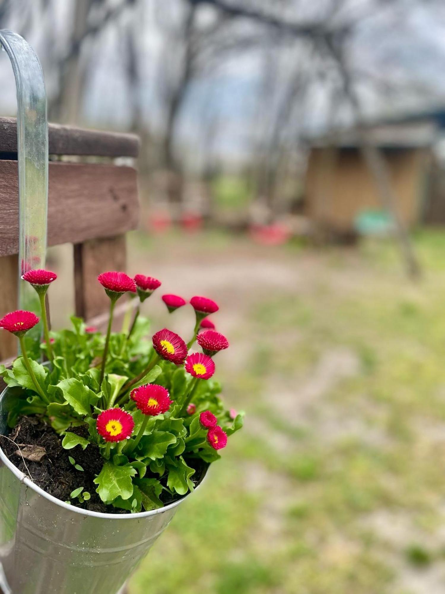 קוטבוס Ferienwohnung Schaeferhof, Die Natur Vor Der Haustuere מראה חיצוני תמונה